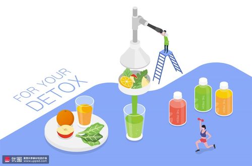 有机食品新鲜果汁蔬果饮品健康饮食插画