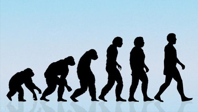 为什么现在的猴子没有进化成人类?|猿人|黑猩猩|灭绝