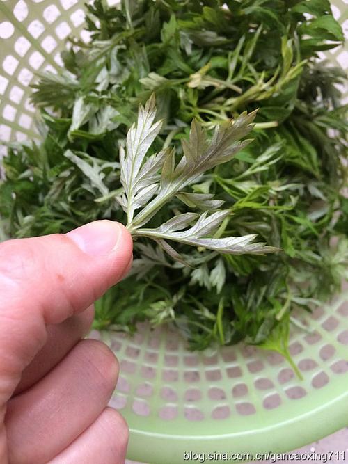 艾草青团