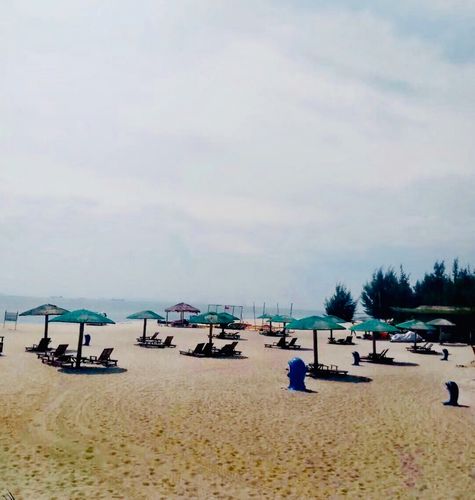 惠东县黄埠镇盐洲岛杨屋村黑排角,红树林,盲婆(20180906—07)