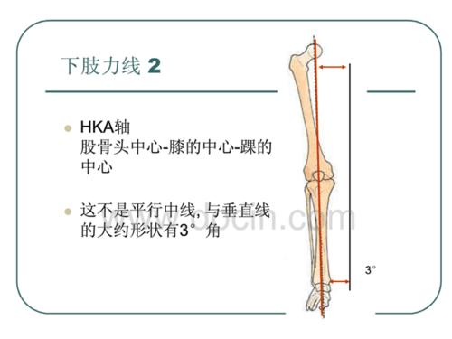 下肢力线课件