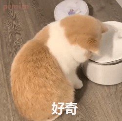 嗷呜