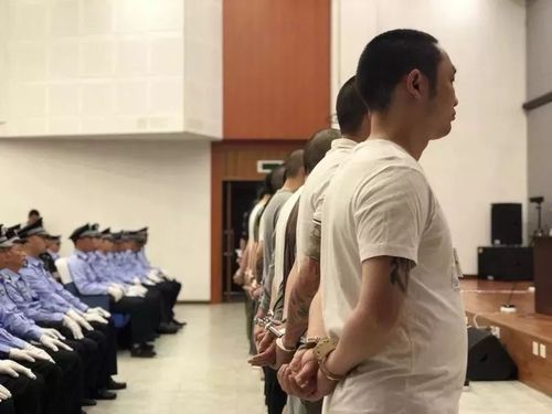 仪征戴某等人涉黑案件公开宣判21人获刑