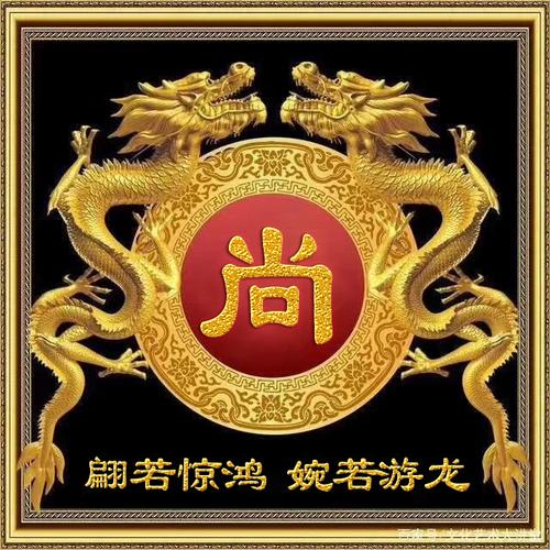 【编号1497】龙霸天下,30个姓氏-微信头像,百家姓氏微信头像,名字壁纸
