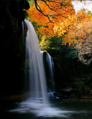 等到风景都看透,陪你一起看细水长流.