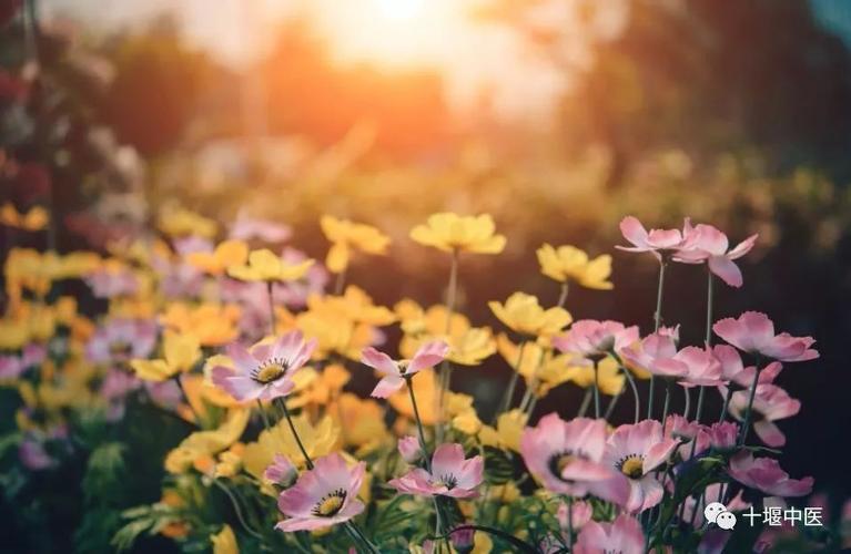 人生如此美好,何必斤斤计较