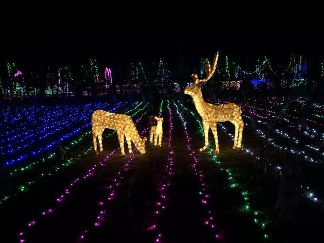 花田水乡 | 创意灯光秀等你来