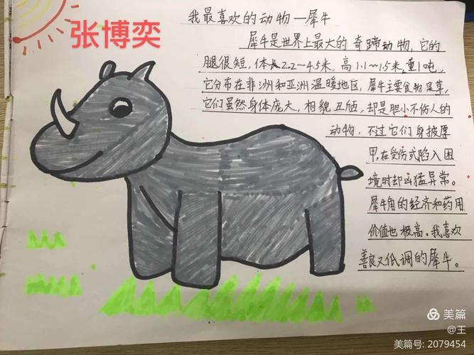 我最喜欢的小动物——海口市第九中学小学部"停课不停