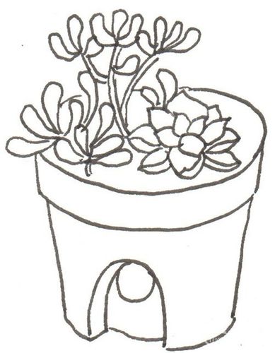 卡通画 多肉花盆