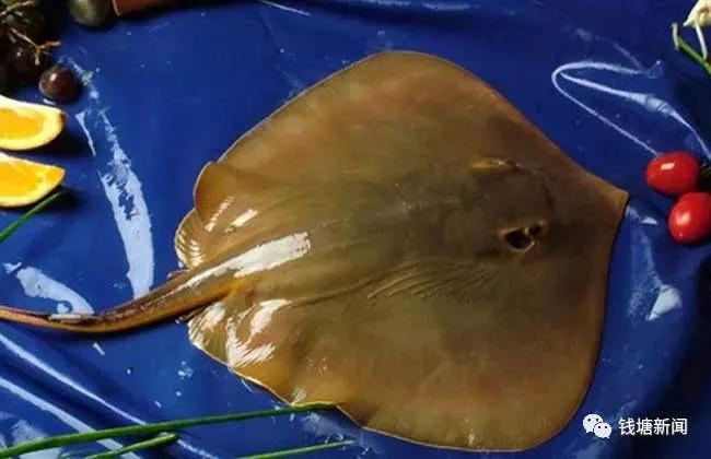 满满一车像巨型蝙蝠的"怪鱼"!网友:这货能吃吗?