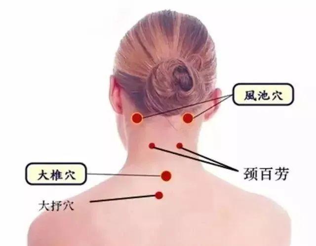3颈肩穴位图