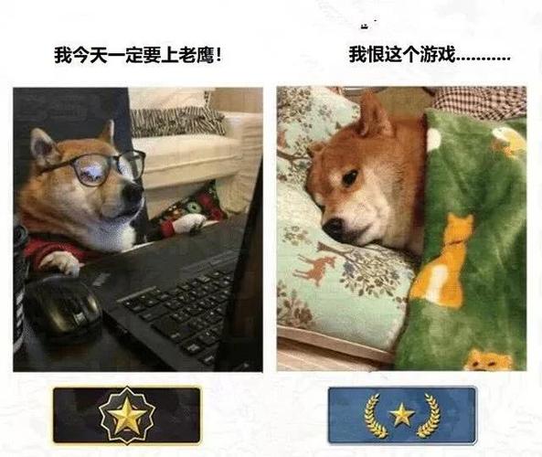《cs:go》搞笑图集:看看你中招了吗?