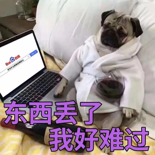 东西丢了,我好难过