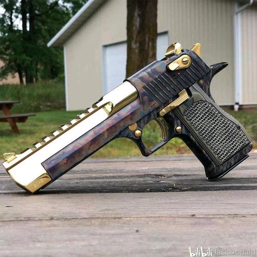 战术版沙鹰,枪管上有战术导轨