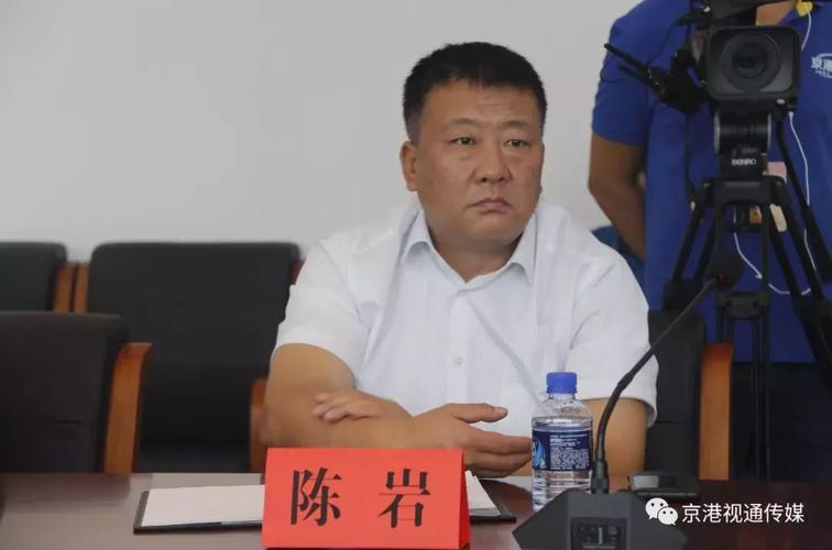 (海伦市副市长 陈岩)