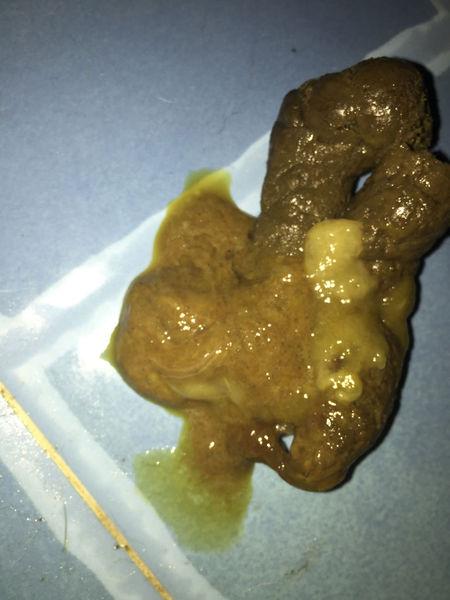 小,也最近刚加的妙鲜包,大便就不好了,今天拉出来带腥味,不会是细小吧