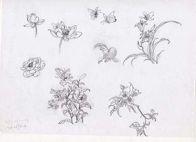 花鸟鱼虫 白描稿|纯艺术|绘画|qq的糖 - 原创作品 - 站酷 (zcool)