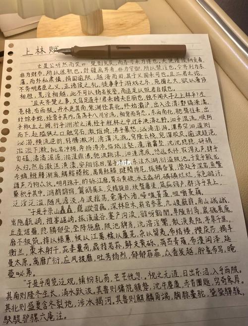 手抄 719915| 上林赋_周生如故_文化_书法