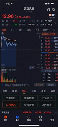 武汉凡谷股票价格_行情_走势图—东方财富网