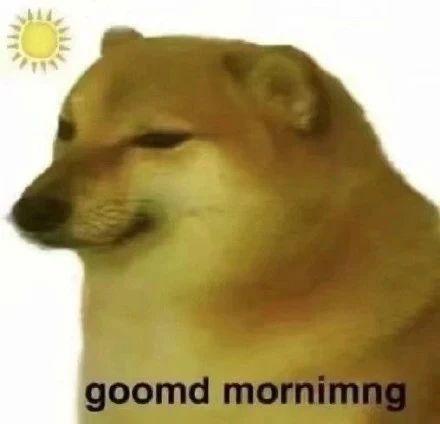 头像表情包丨柴犬cheems,谢谢你,狗子!