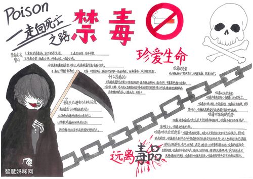 9张超有创意的禁毒手抄报版面设计图