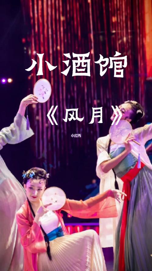 小酒馆里的"风月"佳人 编舞:胡岩_古典舞_成人古典舞_娱乐_舞蹈_舞蹈