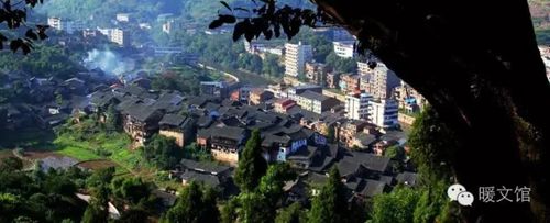 我爱合江 美丽合江 > 正文     福宝古镇拥有国家森林公园门户,四川