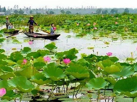 返湾湖风景区旅游景点图片