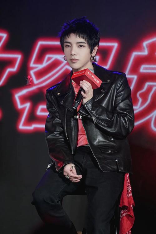 华晨宇77perper比较粘我,我比较粘火姐_华晨宇_直播
