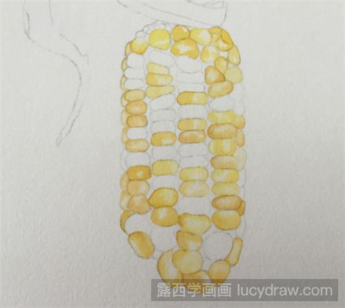 玉米水彩画教程