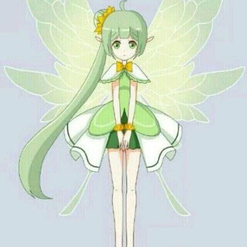 小花仙第二季中花精灵王有哪些?