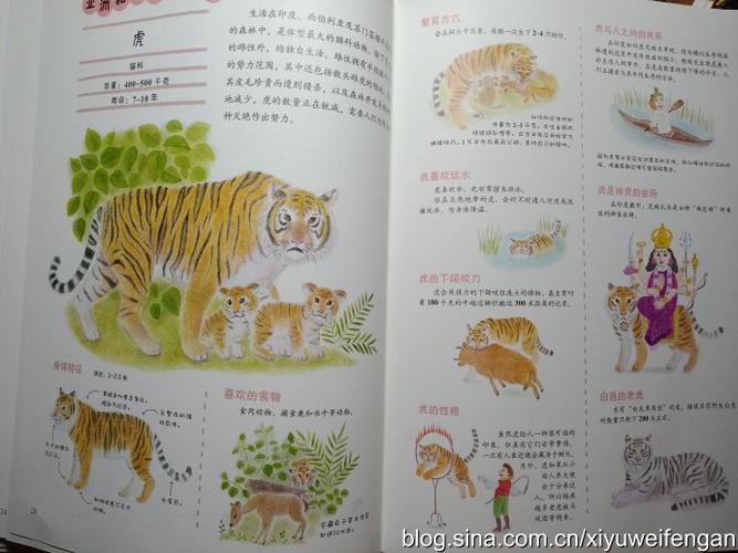 自主阅读——《世界动物绘本》