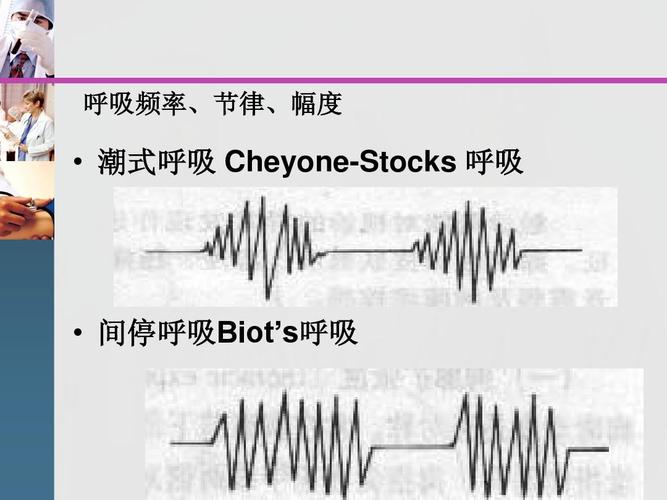 及应用 爱爱医资源-西医诊断-体检-一般检查【38页ppt】  呼吸频率