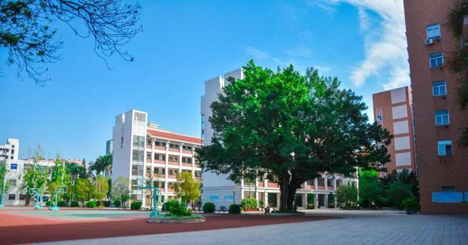 《漳州市教育局关于做好2022年漳州市直公办小学一年级招生工作的通知