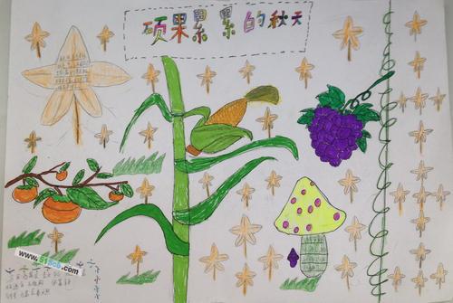 一年级根茎叶花果实手抄报 一年级手抄报