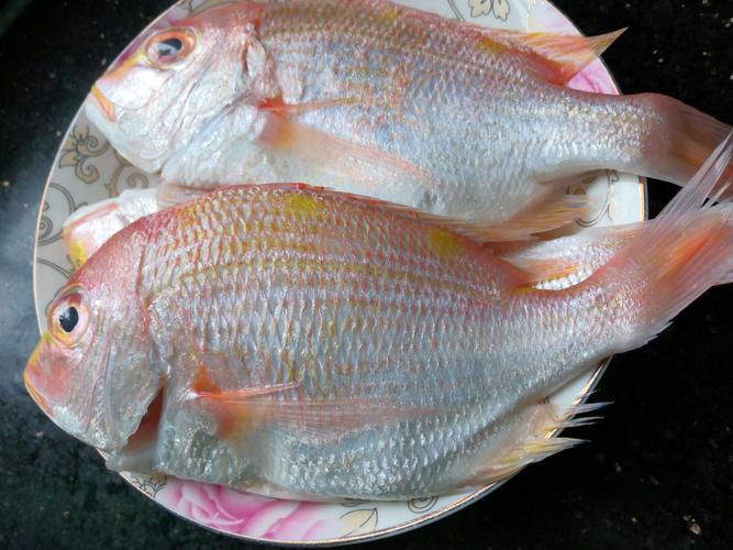 赤鯮鱼,据说是日本渔民音译过来的,本意为"吉祥".