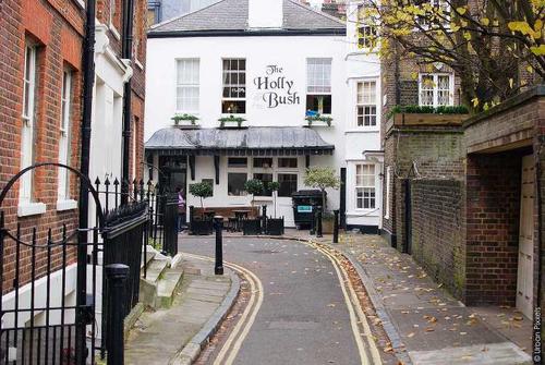 the holly bush