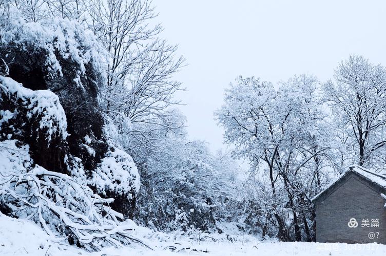 其它 下雪了 写美篇 2020年11月21日拍摄于晋城市吴王山