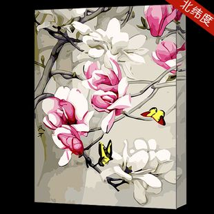 > 产品展示 > 包邮数字油画diy玉兰花花卉客厅颜料手绘填色涂色画风景