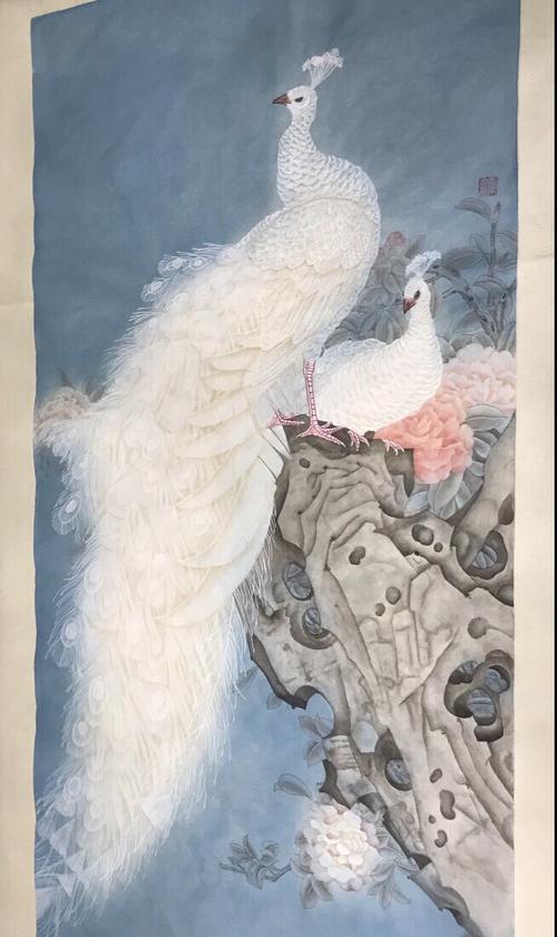 工笔白孔雀