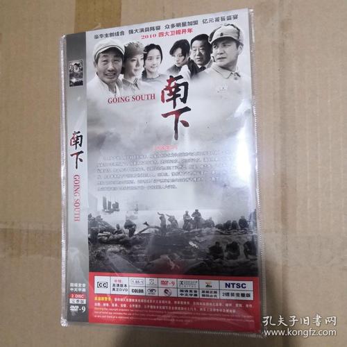 大型电视连续剧南下