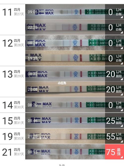 移植成功后大卫试纸变化_hcg_清扬怎么样_母婴_孕产