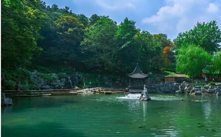 龙背山森林公园,宜兴市,景区,善卷洞,陶祖圣境,竹海