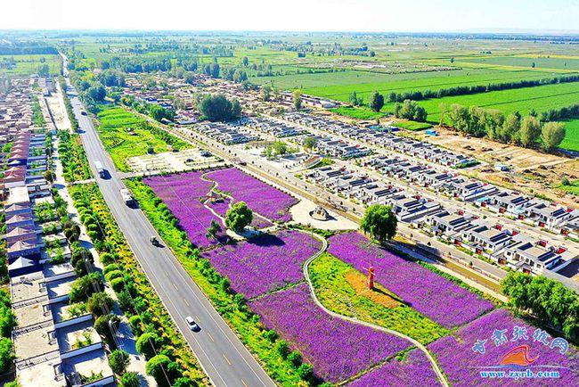 高台:农旅融合助推乡村振兴|示范点|高台县|美丽乡村