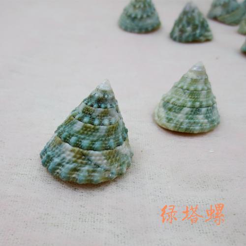 贝壳鱼挂饰