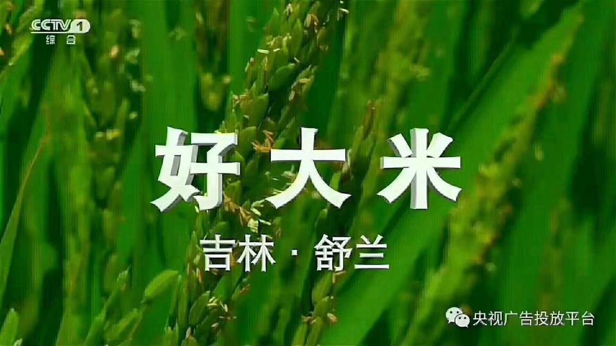 舒兰大米,永丰米业.