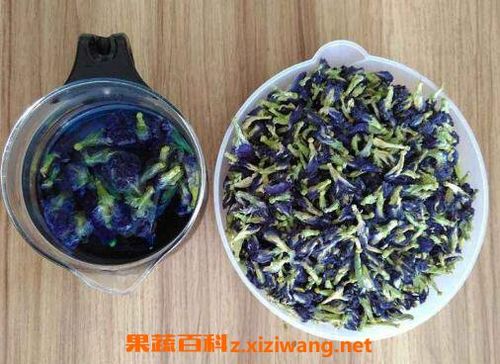 蓝蝴蝶花茶的功效与作用