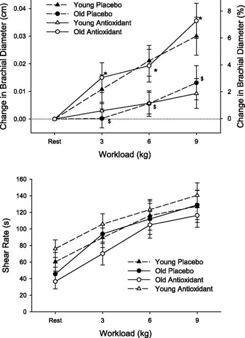 exercise-induced brachial artery vasodilation: effects of
