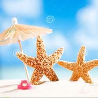 漂亮的海星qq头像