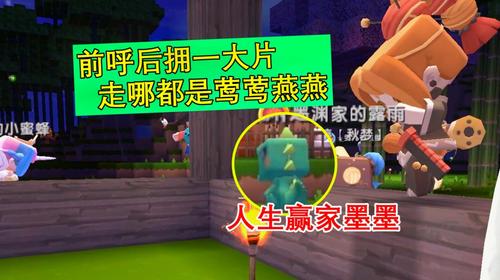 野小叶游戏解说